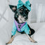 Dog Adjustable Harness - Neon Purple