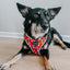 Dog Adjustable Harness - Disney's 101 Dalmatians