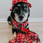 Dog Bucket Hat - Disney's 101 Dalmatians