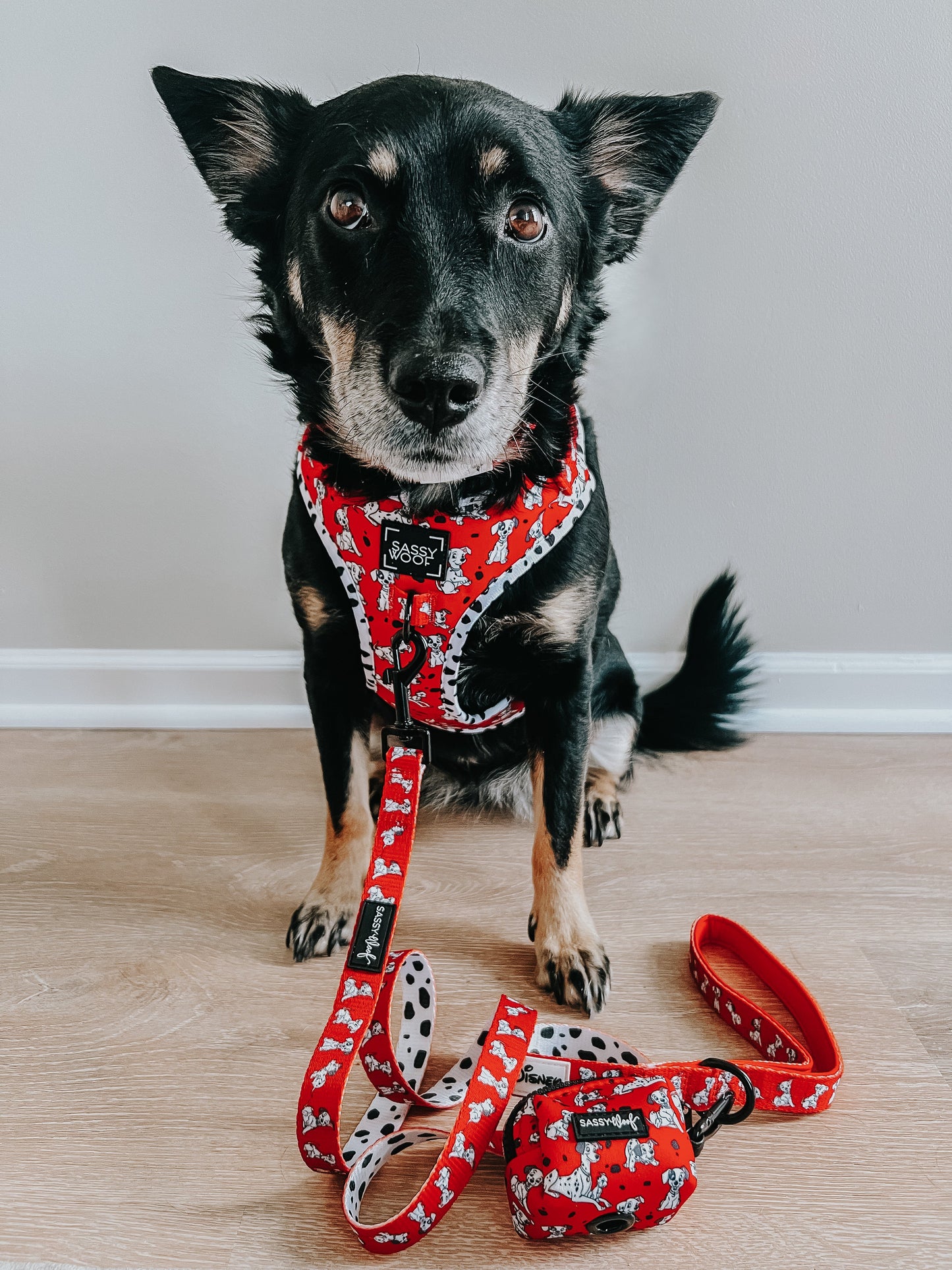 Dog Collar - Disney's 101 Dalmatians