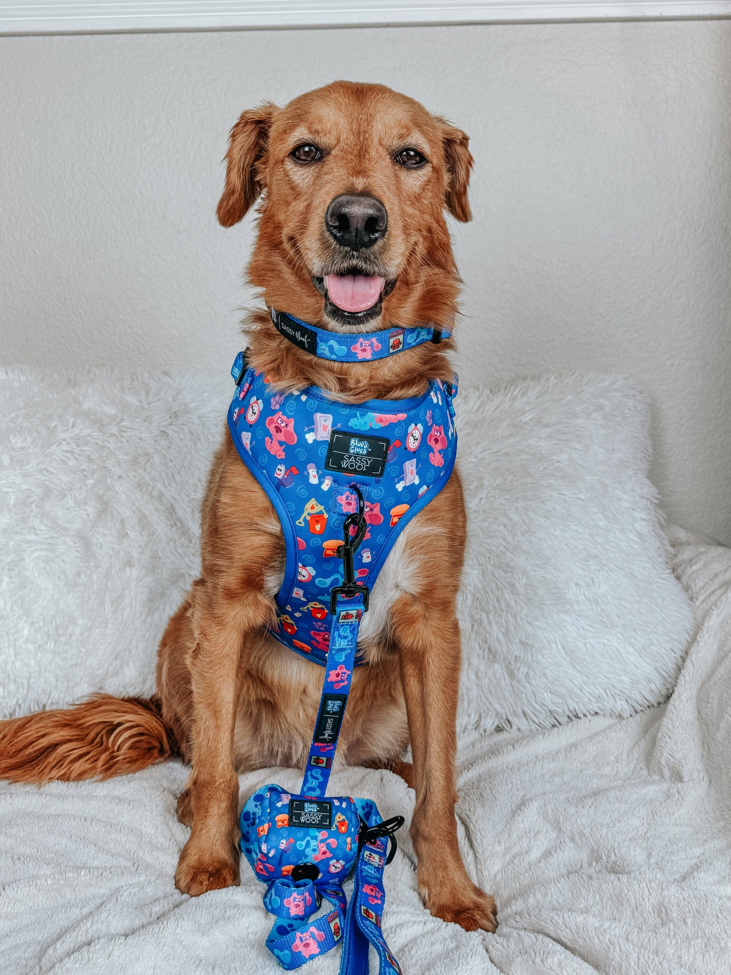 Dog Collar - Blue's Clues™