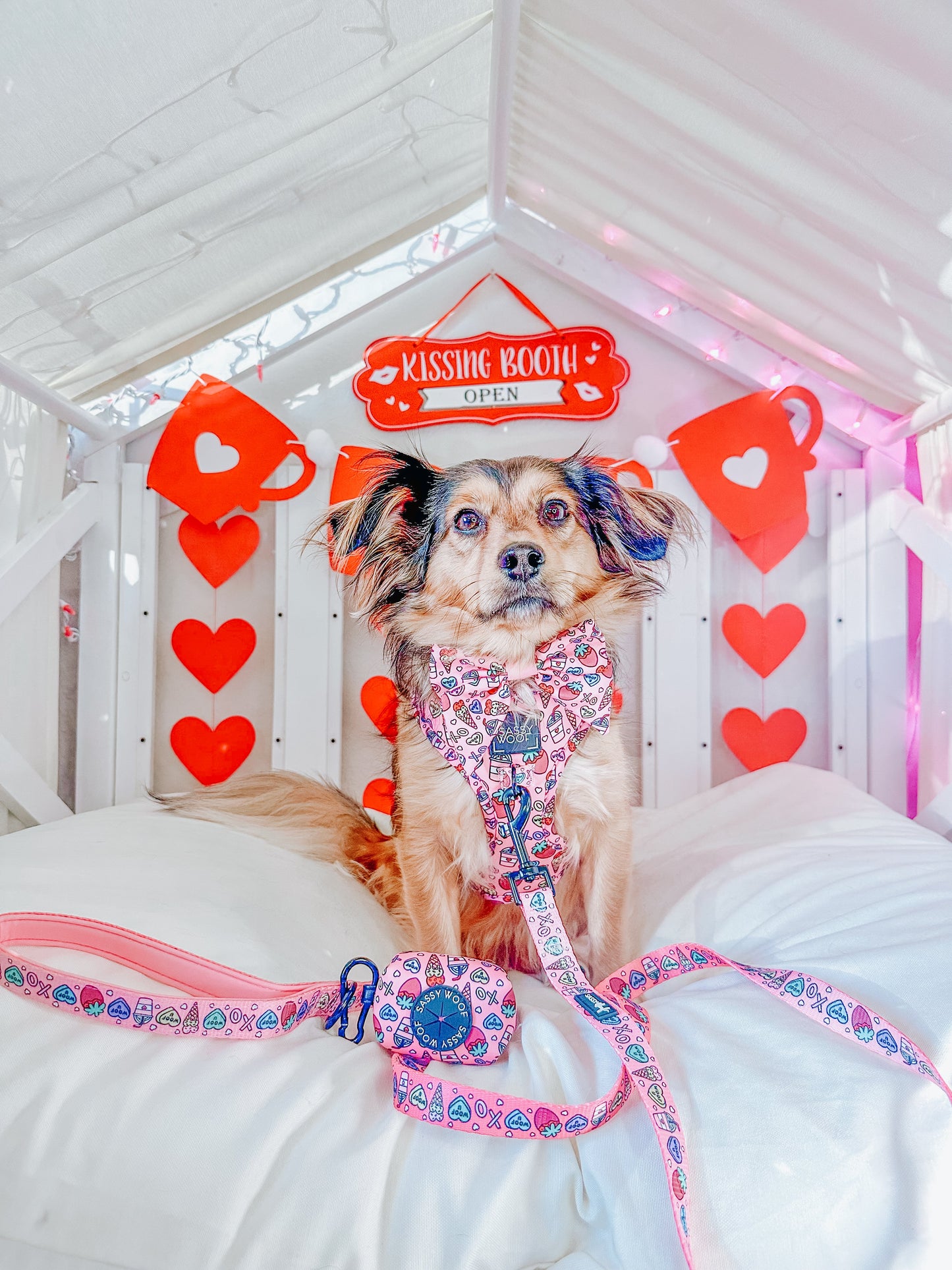 Dog Adjustable Harness - I Chews You