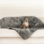 PupProtector™ Summer Short Fur Waterproof Throw Blanket - Charcoal Grey