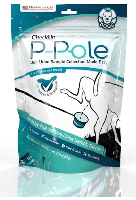 UTI BioScreen & Culture for Dogs - At-Home Dog Urine Test | Kedi Labs