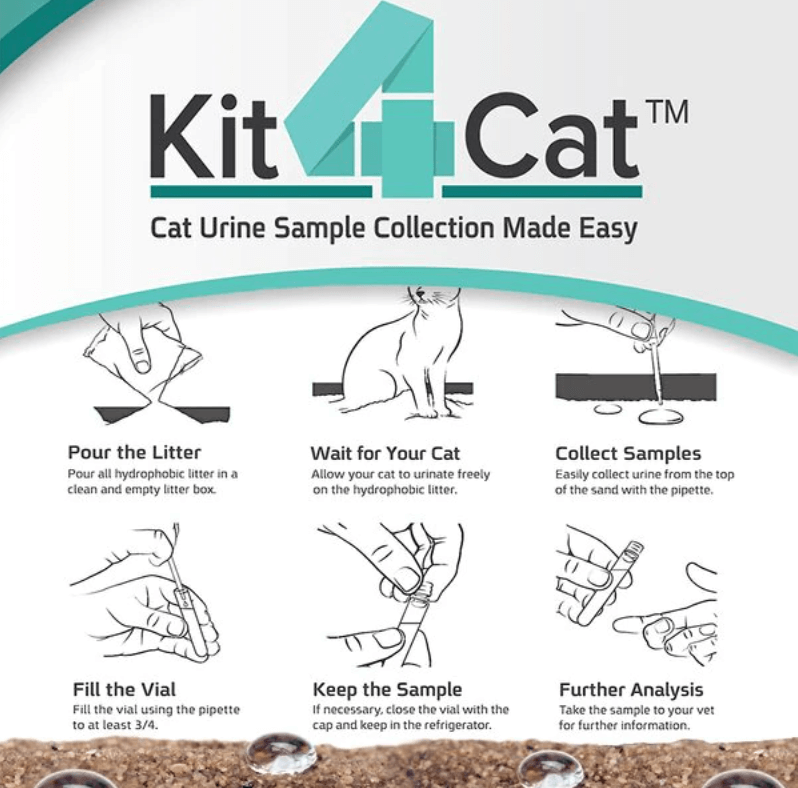 UTI BioScreen & Culture for Cats - At-Home Cat Urine Test | Kedi Labs