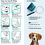 UTI BioScreen & Culture for Dogs - At-Home Dog Urine Test | Kedi Labs