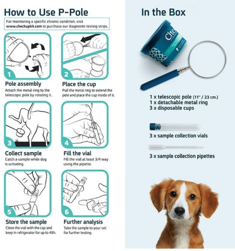 UTI BioScreen & Culture for Dogs - At-Home Dog Urine Test | Kedi Labs