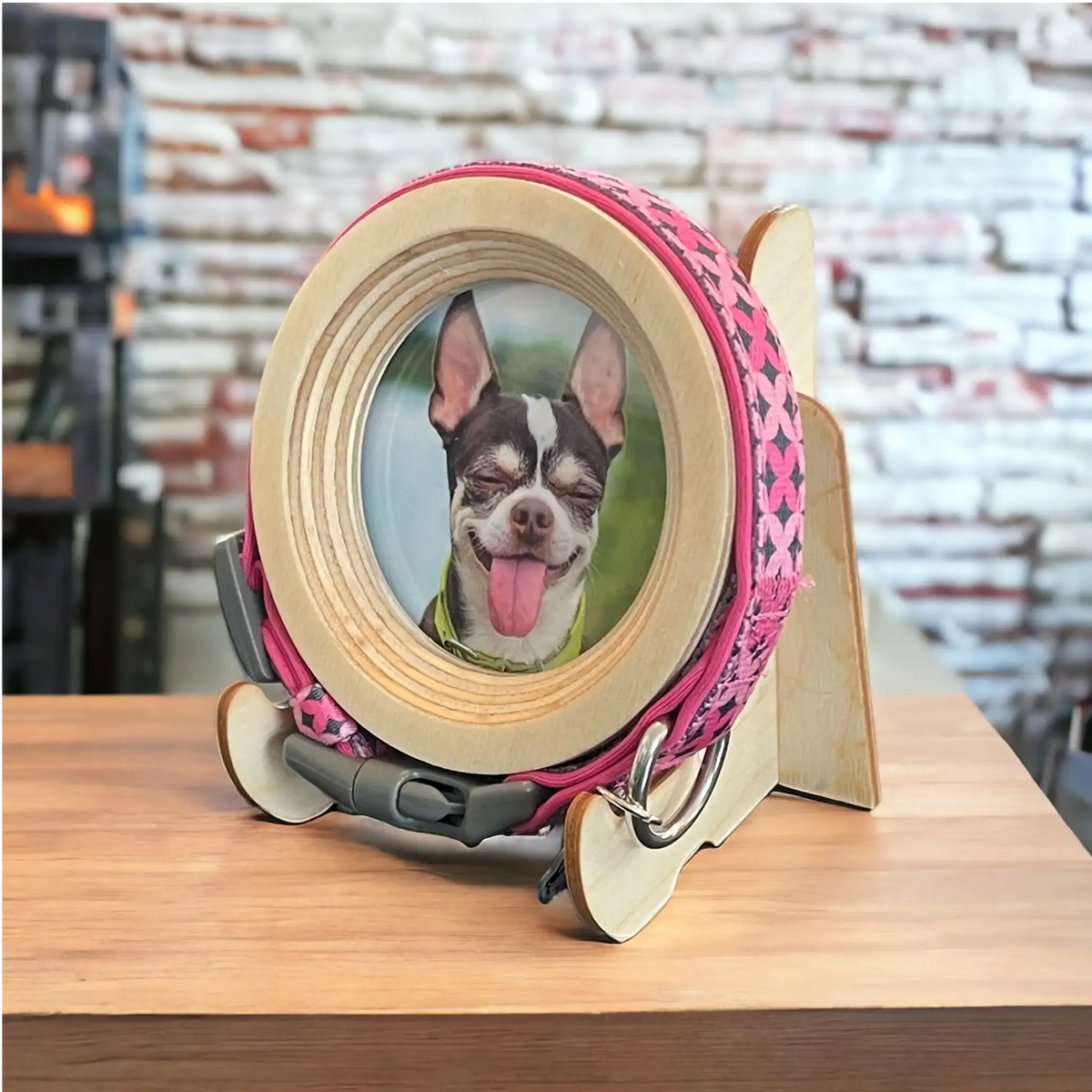 Small Dog Collar Frame and Stand Bundle | "The Chihuahua"
