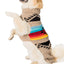 Painted Desert Dog Sweater