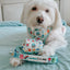 Dog Leash - Care Bears™ Care-a-Lot