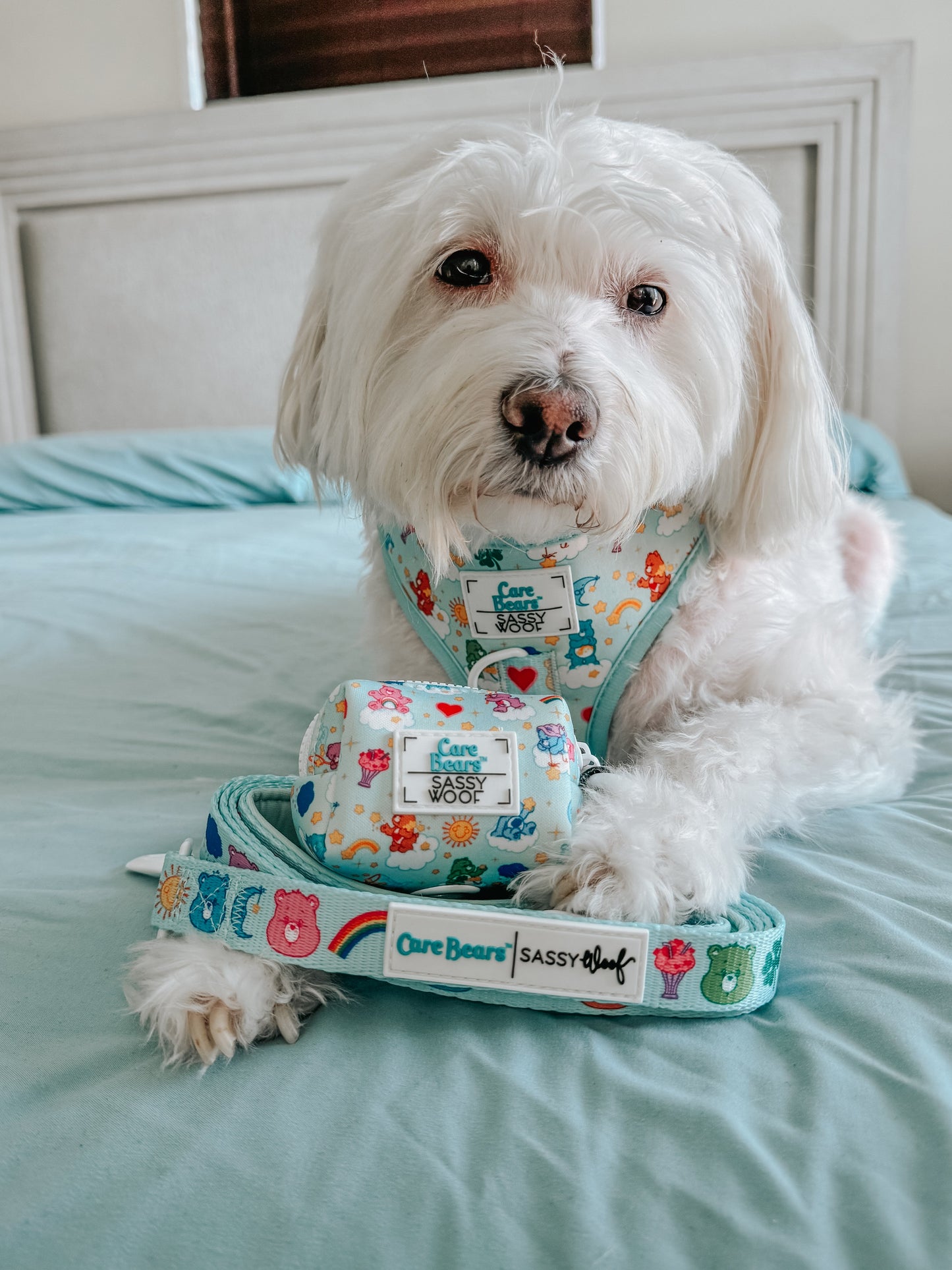 Dog Leash - Care Bears™ Care-a-Lot