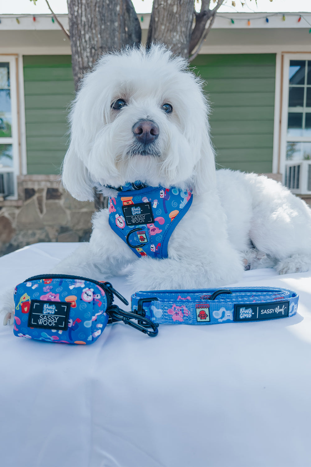 Dog Adjustable Harness - Blue's Clues™