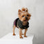 City Dog Harness