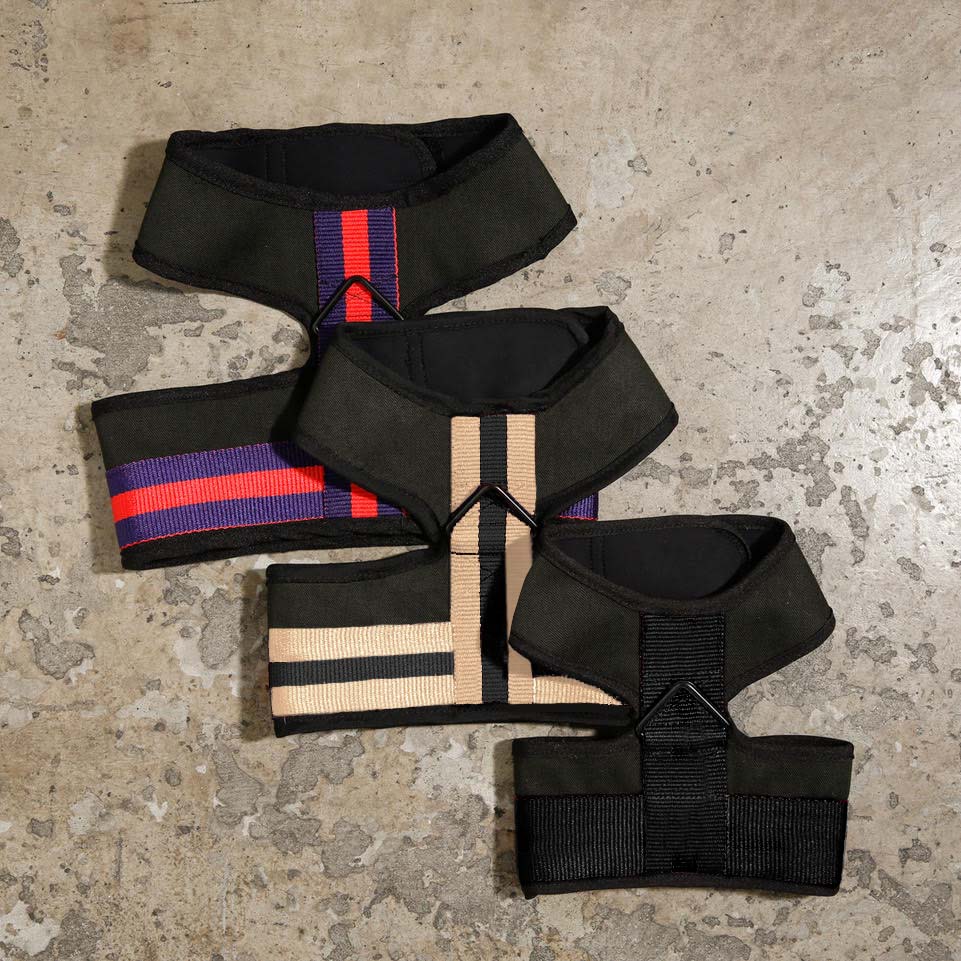 City Dog Harness