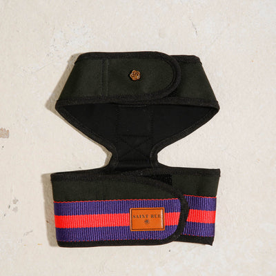City Dog Harness
