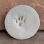 ClayPaws® Paw Print Kit & Collar Keepsake Frame