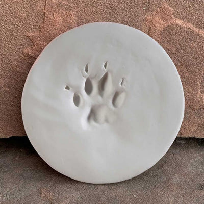 ClayPaws® Paw Print Kit & Collar Keepsake Frame