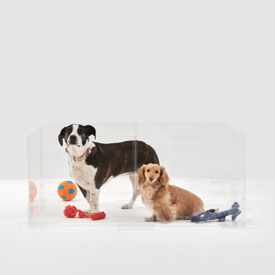 Clear Step-Over Pet Playpen , 24" High