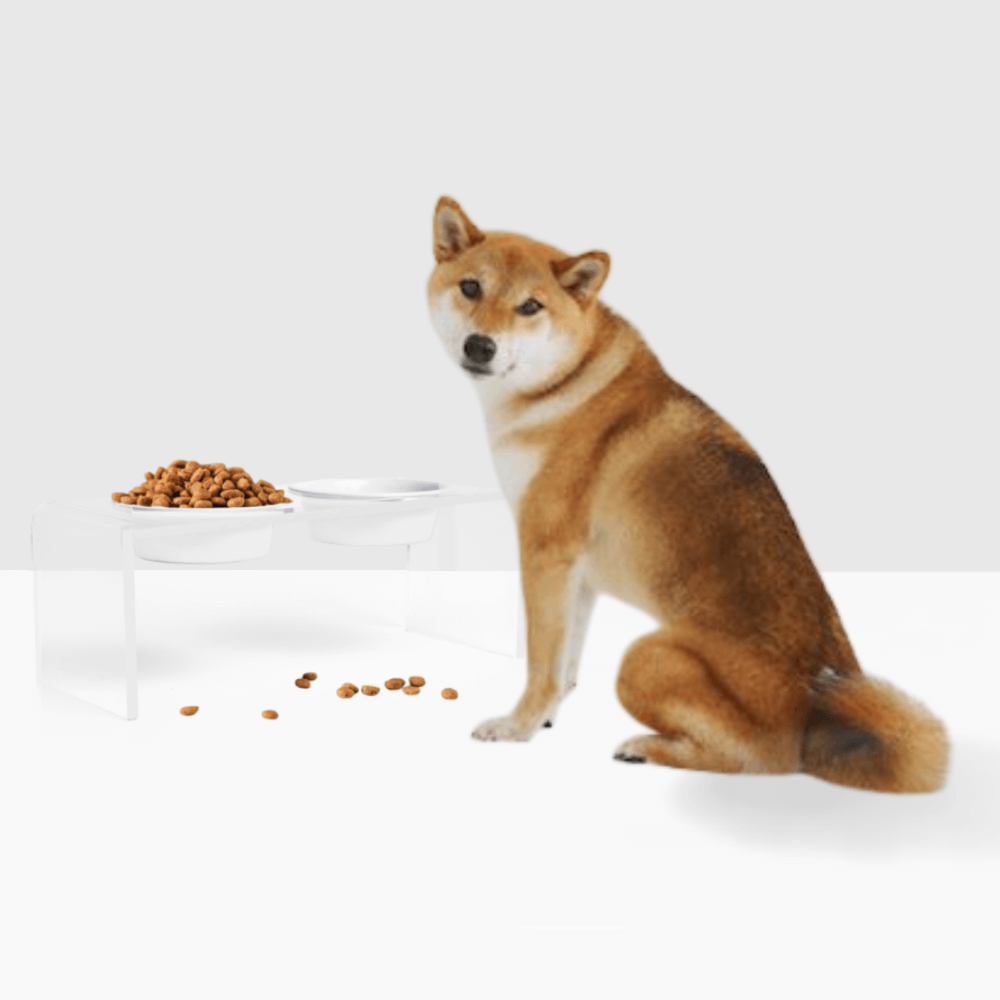 Medium White Bowl Feeder