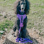 Dog Adjustable Harness - Neon Purple