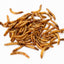 5Lbs Chubby North American Dried Mealworms (Montreal Grown) Non-GMO