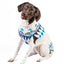 Coastal Cable Knit Dog Sweater