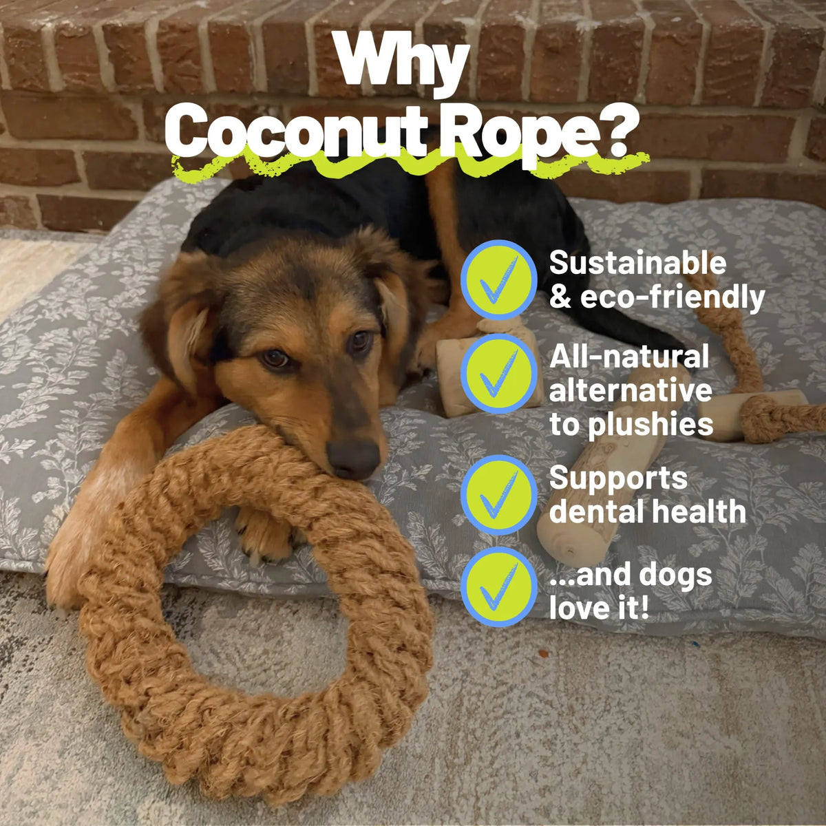 Coconut Rope Ring
