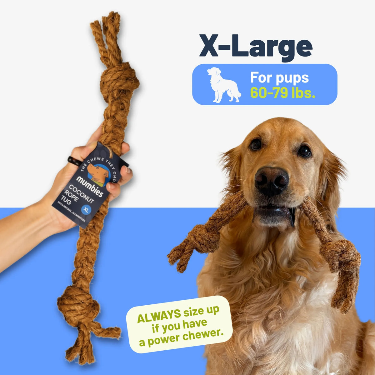 Coconut Rope Tug