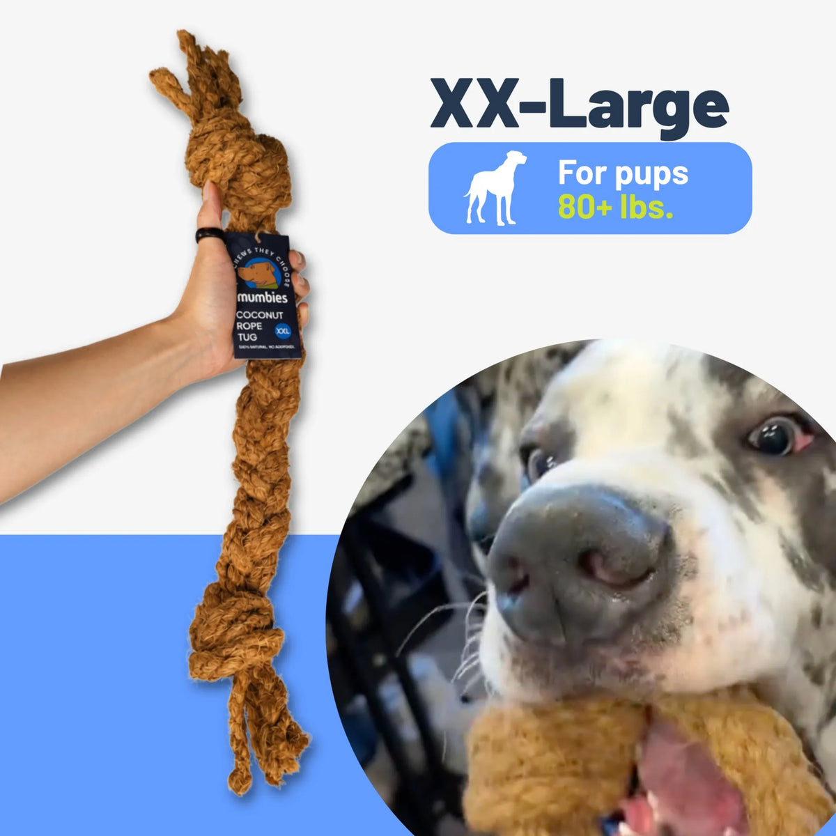 Coconut Rope Tug
