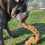 Coconut Rope Tug