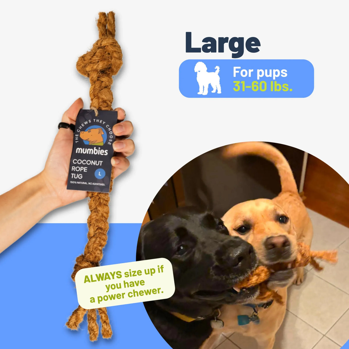 Coconut Rope Tug