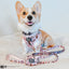Dog Adjustable Harness - Harley Quinn™