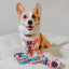 Dog Adjustable Harness - Candy Cane Coquette