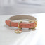Collar - Vegan Leather - Rio