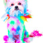 Canine Color Semi Perm Coat Color Shampoo for Dogs