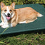 Coolaroo Pet Bed