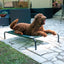 Coolaroo Pet Bed