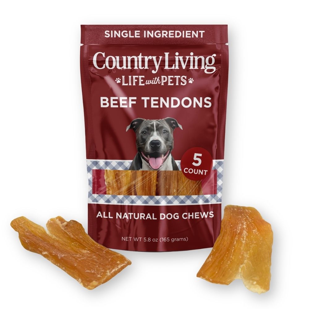 Country Living 5–6" Beef Backstrap Tendon Dog Chews, 5-Pack