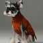Pretzel Pet Sweater - Tofee Orange