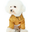 Ultralight Full covered hooded waterproof dog jacket - Yellow
