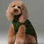 Pretzel Pet Sweater - Olive Green