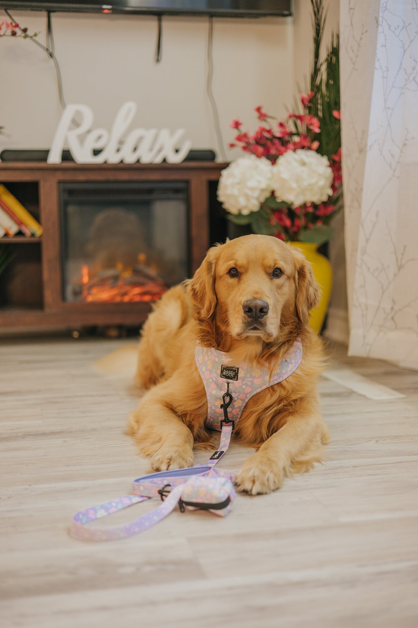 Dog Adjustable Harness - Fleur de Sass