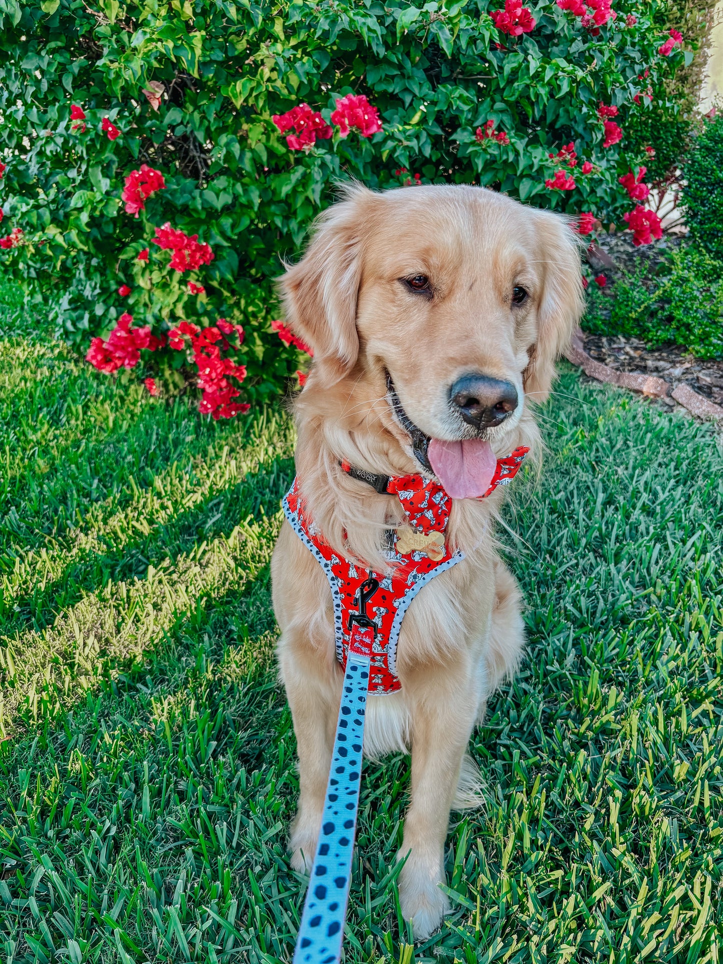 Dog Collar - Disney's 101 Dalmatians