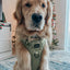 Dog Step-in Harness - Matcha