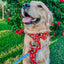 Dog Adjustable Harness - Disney's 101 Dalmatians