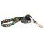 Birthday Cupcakes Dog Leash