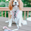 Dog Adjustable Harness - Magnolia