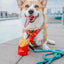 Dog Reversible Harness - One Hot Pupperoni