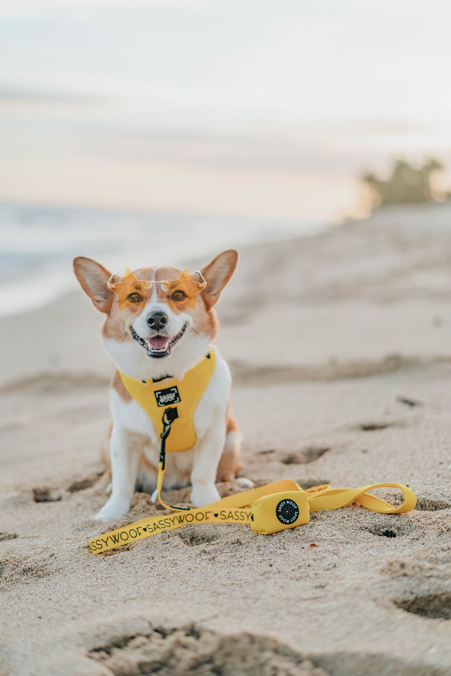 Dog Adjustable Harness - Neon Yellow