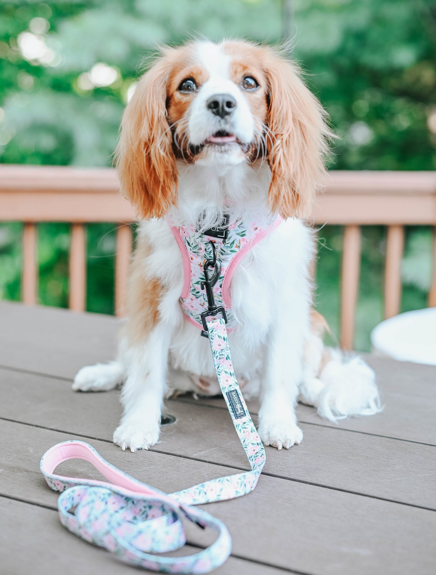 Dog Leash - Magnolia